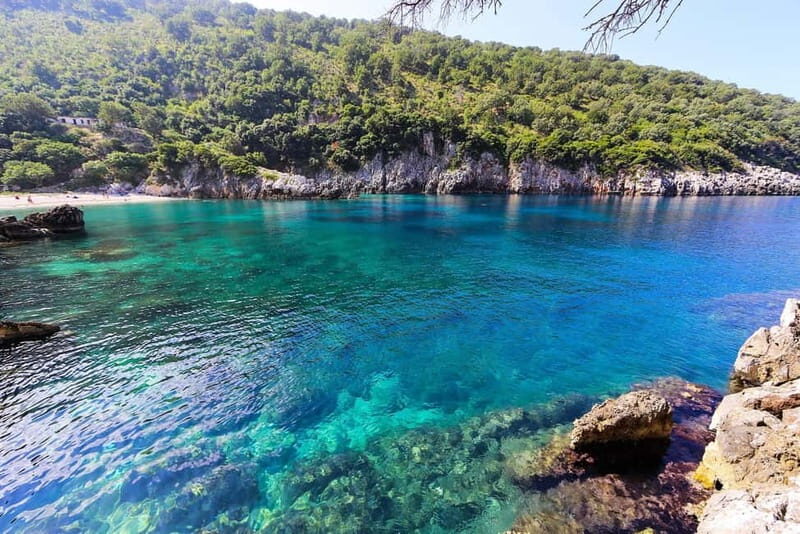Vlore: Explore Sazan Island & Haxhi Ali Cave by Speedboat - Why This Tour Is a Great Choice