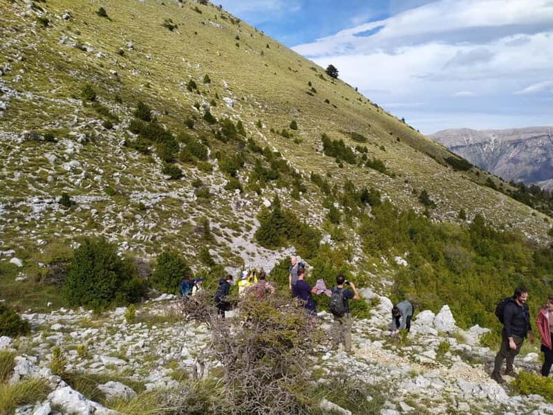 Vlore : Llogara National Park Infocenter to Deep Neck - Authentic Experiences & Traveler Insights