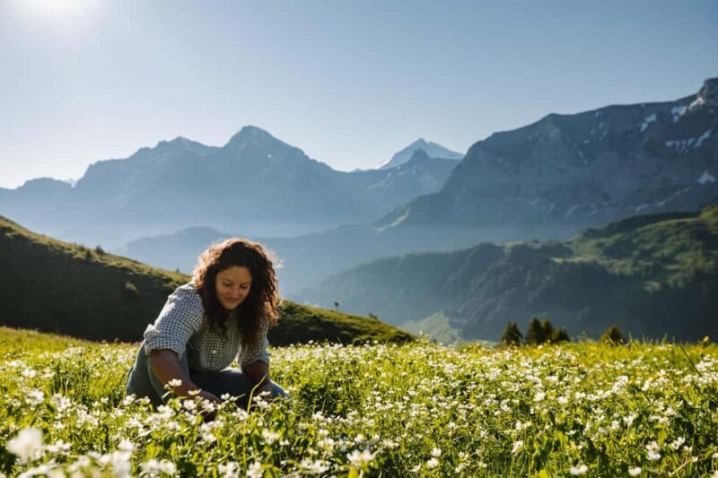 Vogellisi Mountain: Easy Panoramic Flower Trail Hike - Good To Know