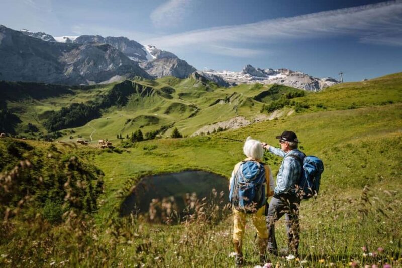 Vogellisi Mountain: Easy Panoramic Flower Trail Hike - Value and Practicality