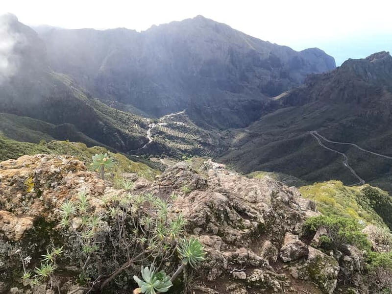 Volcanes, Viñedos y Laurisilva  Santiago del Teide - FAQ  