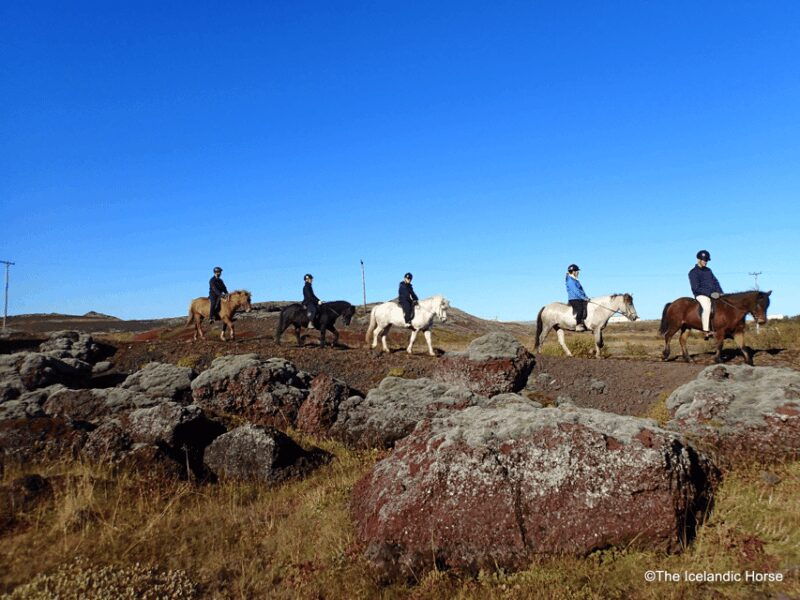 Volcanic Landscape Iceland Horse Riding Tours - An In-Depth Look at the Tour