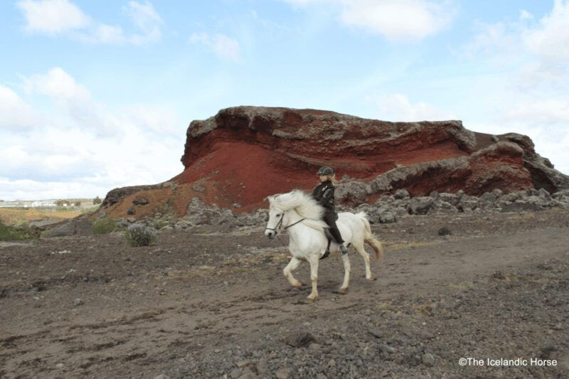 Volcanic Landscape Iceland Horse Riding Tours - FAQ