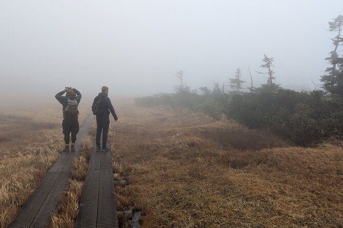 Volcanic Wonders & Scenic Trails - Who Would Love This Tour