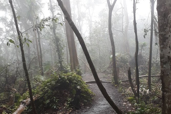 Volcano Crater Hiking Tour in St Kitts - Knowledgeable and Accommodating Guides