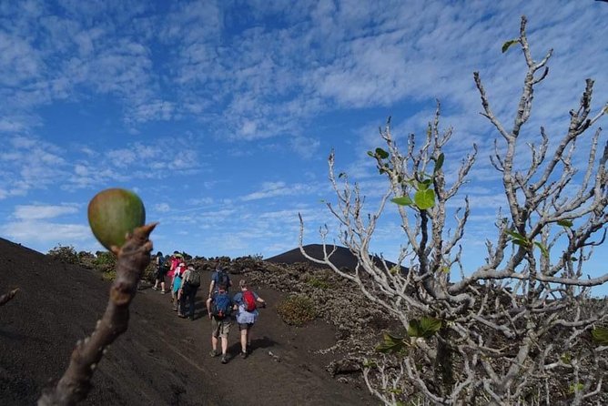 Volcano Hike in Lanzarote With Hotel Pickup - Meeting and Pickup