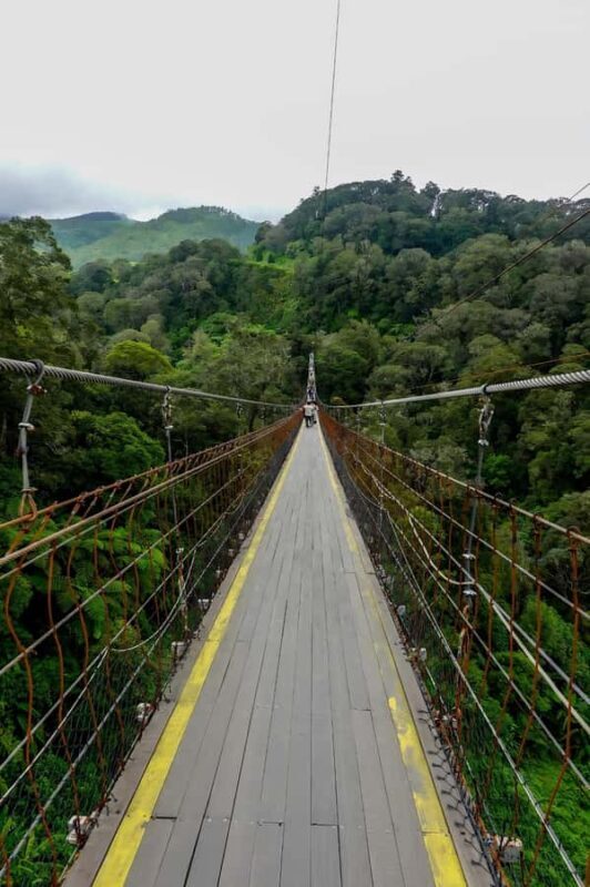 Volcano, Hot Spring, Mud Bath & Tea plantation all included - In-Depth Look at the Itinerary and Highlights