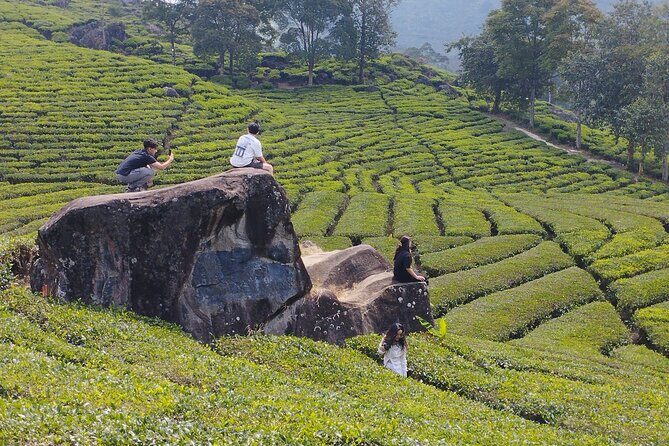 Volcano Mountain Private Car Tour White Crater Bandung - Good To Know