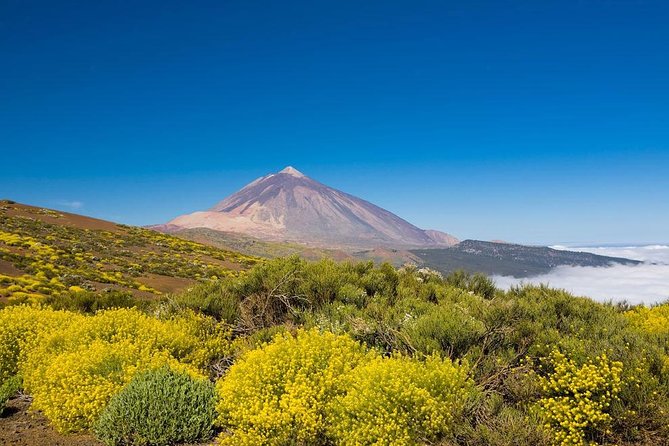 Volcano & Mt Teide Private Tour in Tenerife - Tour Highlights