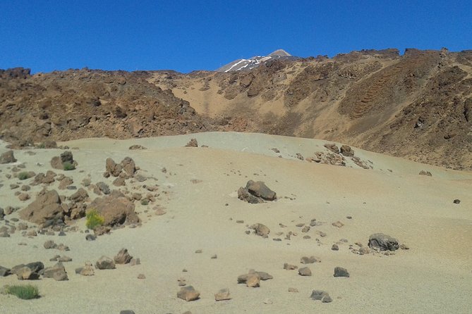 Volcano & Mt Teide Private Tour in Tenerife - Meeting and Pickup Details