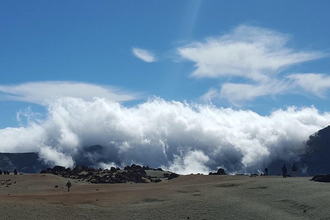 Volcano & Mt Teide Private Tour in Tenerife - Common Questions