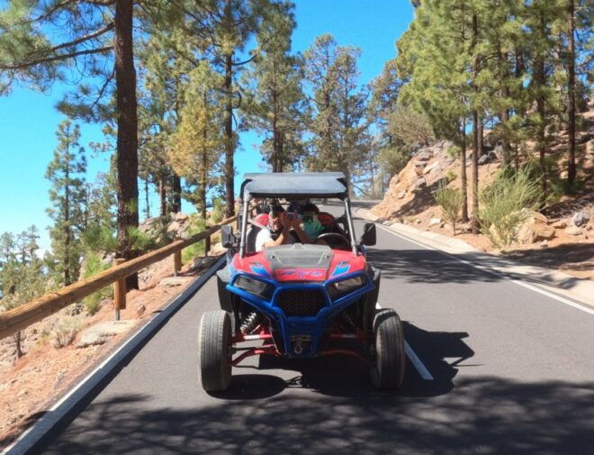 Volcano Teide: Buggy Tour With Wine Tasting & Tapas - Common Questions