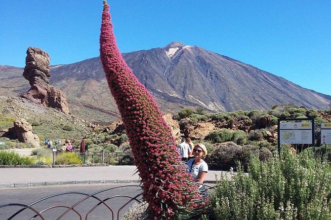 Volcano Teide - Masca Ravine. Guided Tour From Puerto De La Cruz - Tenerife - Meeting and Pickup
