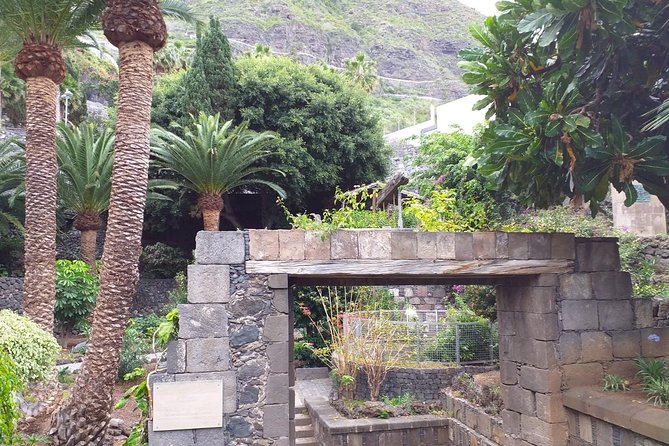 Volcano Teide National Park And North Of The Island VIP TOUR - Overview of the VIP Tour