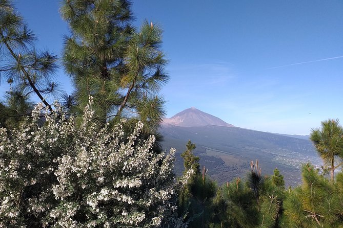 Volcano Teide National Park And North Of The Island VIP TOUR - The Sum Up