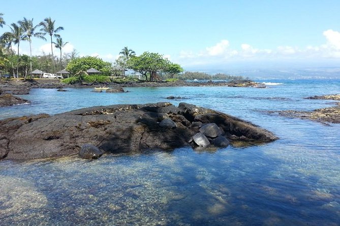Volcanoes Adventure Tour From Hilo - Tour Highlights and Activities
