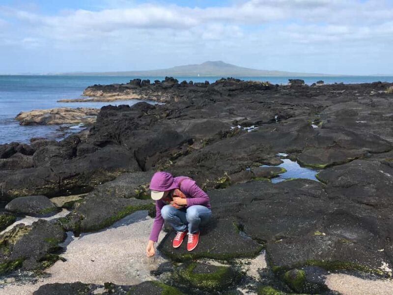 Volcanoes, Coast & Secret Spots Afternoon Tour from Auckland - Authentic Experiences and Local Insights