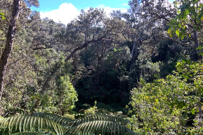 Volcanoes National Park - From Kona - Cancellation Policy