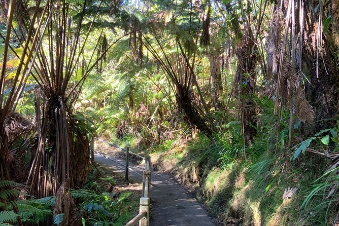 Volcanoes National Park - From Kona - Common Questions