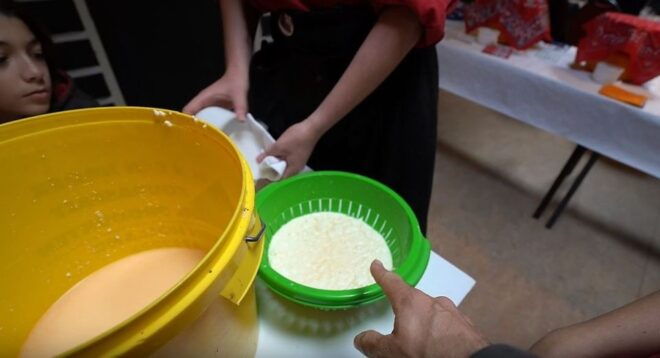 Volendam: 2.5-Hour Cheesemaking Workshop & Clog Making Tour - Instructor Information