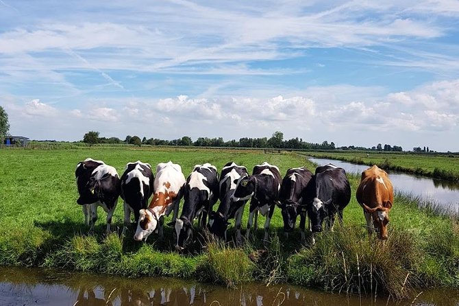 Volendam & Zaanse Schans Tour: Dutcher Than Dutch - Meeting and Pickup Information