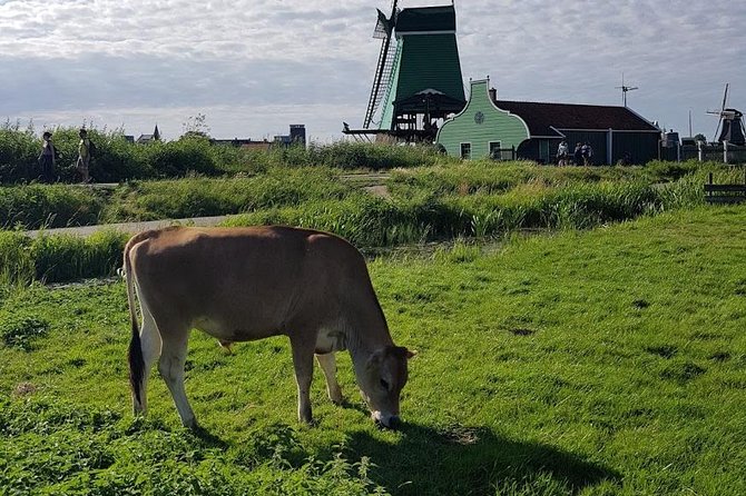Volendam & Zaanse Schans Tour: Dutcher Than Dutch - Directions to Zaanse Schans