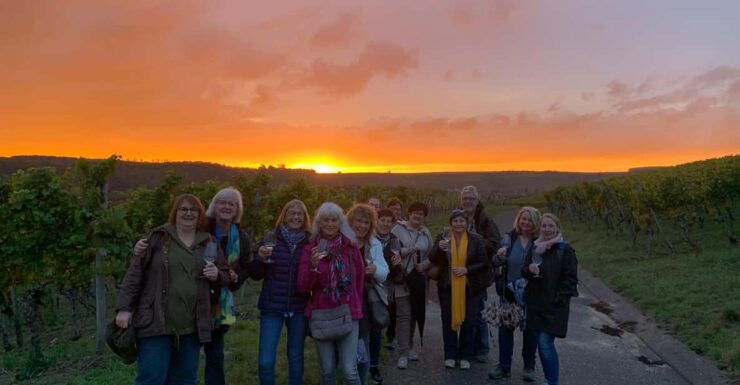 Volkach/Fahr: Wine Spirit Rebellion Wine Hike - Tour Experience and Highlights