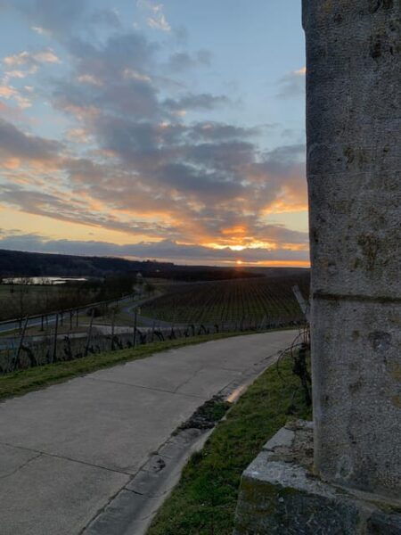 Volkach/Fahr: Wine Spirit Rebellion Wine Hike - Tips for a Great Experience