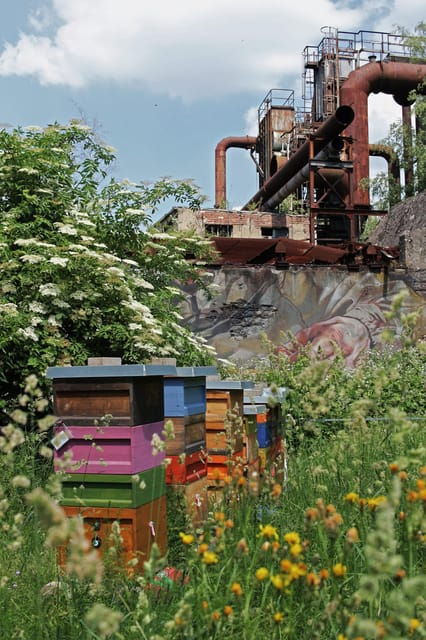 Völklingen: Völklingen Ironworks World Heritage Site Ticket - Accessibility and Amenities