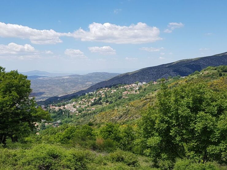 Volos: Cook Like a Local at a Greek Farm - Experience Highlights