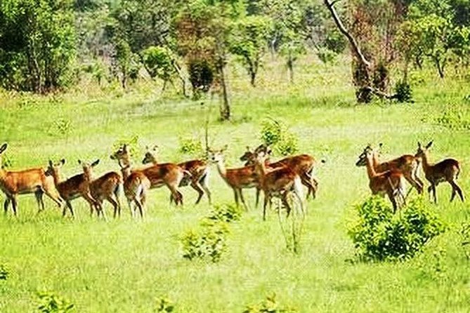 Volta Ghana Peak Hiking Adventure Tour - Exclusions