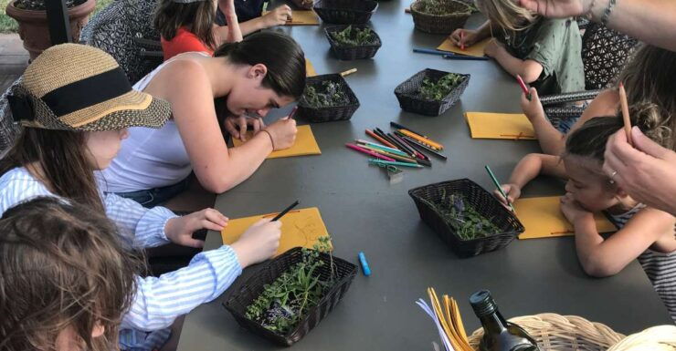 Volterra: Family-Friendly Herbal Laboratory Workshop - Activity Details