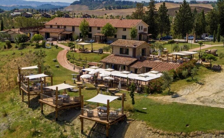 Volterra: Wine Tasting with Lunch or Dinner in Tuscany - Who Will Love This Experience?