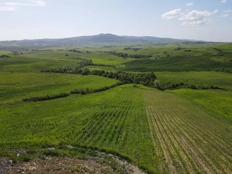 Volterra: Winery Guided Tour and Experience with Tasting - FAQs