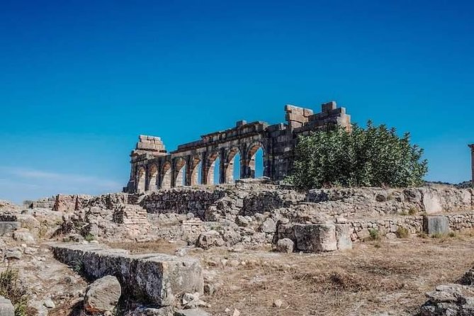 Volubilis and Meknes Day Trip From Fez - Traveler Photos and Reviews