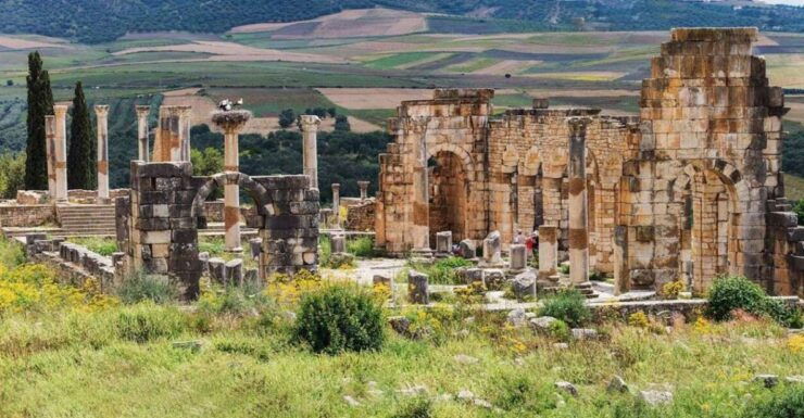 Volubilis: Day Trip From Fez to Volubilis and Meknes - Activity Details