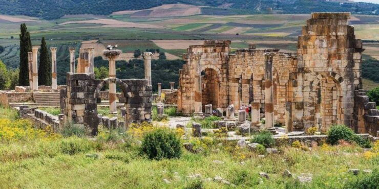 Volubilis: Day Trip From Fez to Volubilis and Meknes - Experience Highlights
