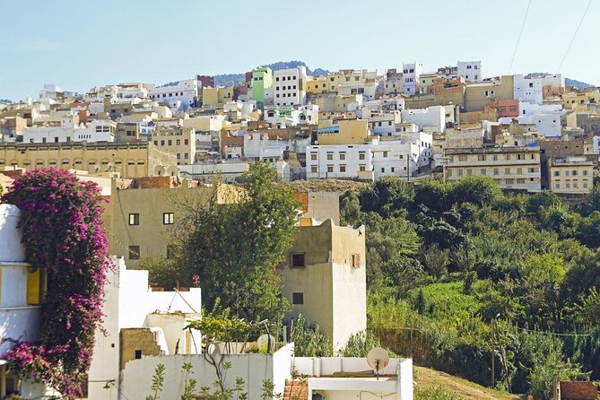 Volubilis, Meknes, Moulay Idriss: Full Day Private Tour From Fes, Morocco - Tour Itinerary