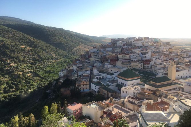 Volubolus Day Trip From Fes - Customer Support and Assistance