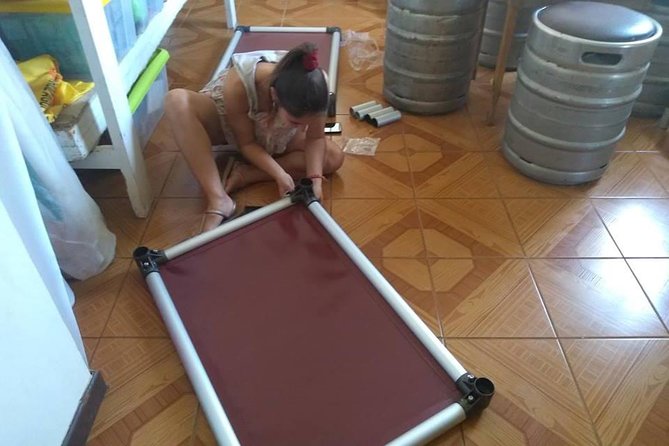 Volunteering With Animals in Sao Vicente! - The Sum Up