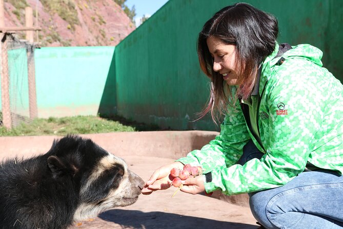 Voluntering at the Cochahuasi Sanctuary - The Cochahuasi Sanctuary: An Overview