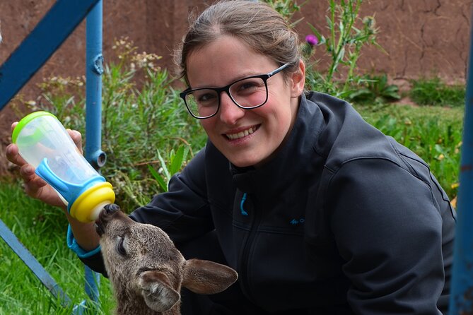 Voluntering at the Cochahuasi Sanctuary - Volunteer Testimonials and Experiences