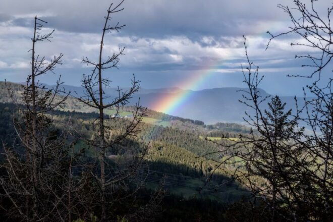 Vosgian Lakes Rallye - Frequently Asked Questions