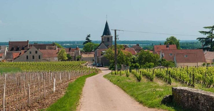 Vosne-Romanée: Private Vineyards Walking Tour With Tasting - Booking and Logistics
