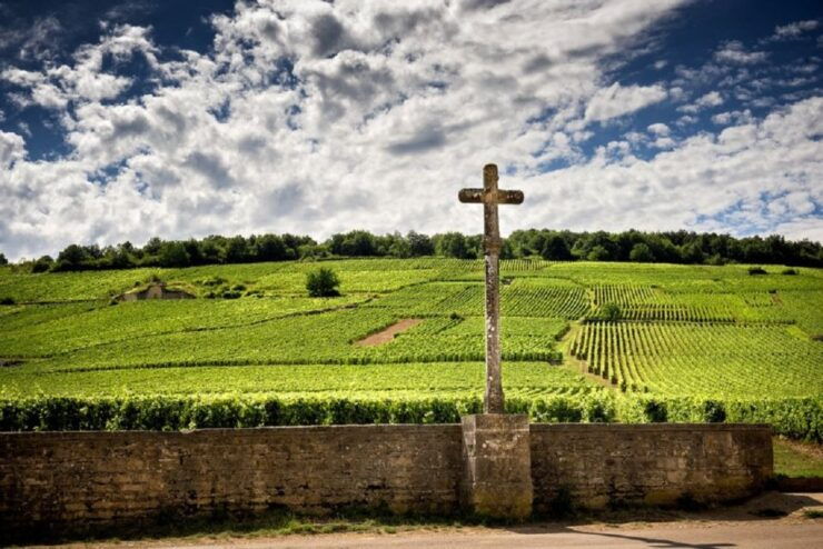 Vosne-Romanée: Private Vineyards Walking Tour With Tasting - Experience and Exploration