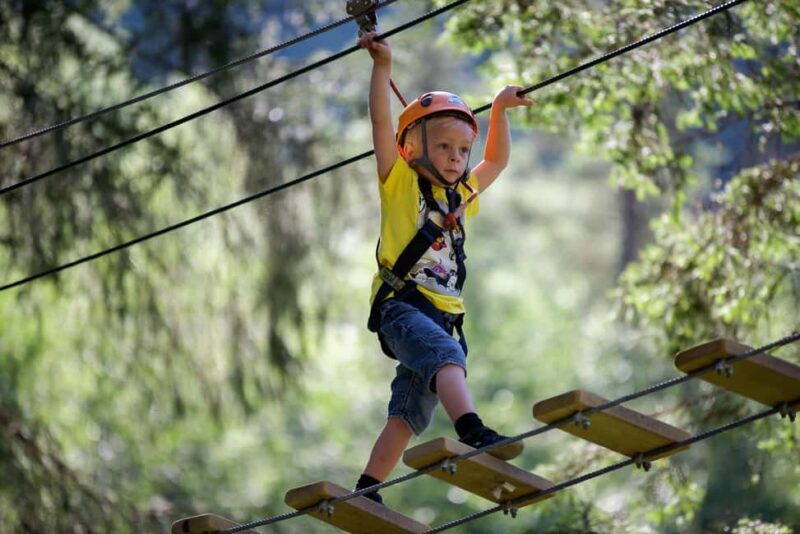 Voss High Rope Course: Mini & Micro Course - Good To Know