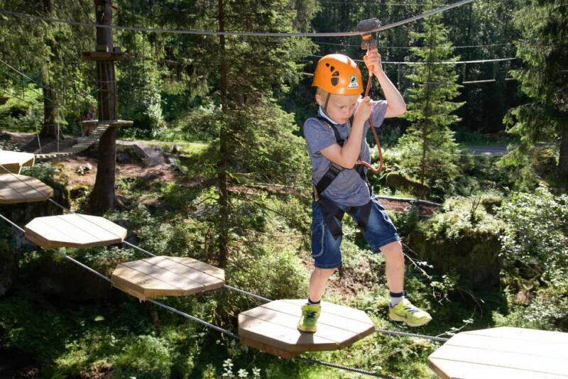Voss High Rope Course: Mini & Micro Course - What to Expect at Voss High Rope Course