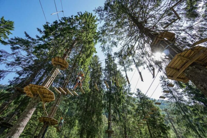 Voss High Rope Course: Mini & Micro Course - FAQ