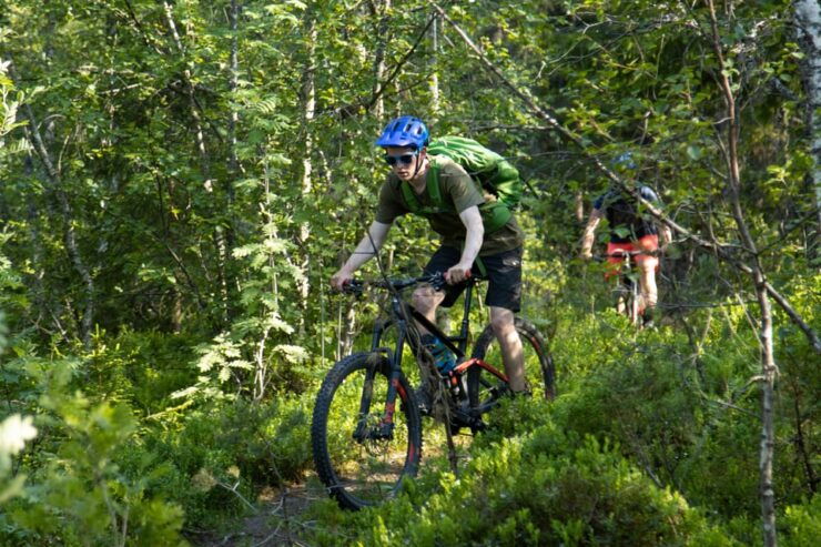 Voss - Mountain Bike – Bømoem Forest - Good To Know
