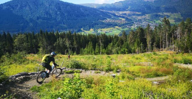 Voss - Mountain Bike – Bømoem Forest - Preparation and Restrictions